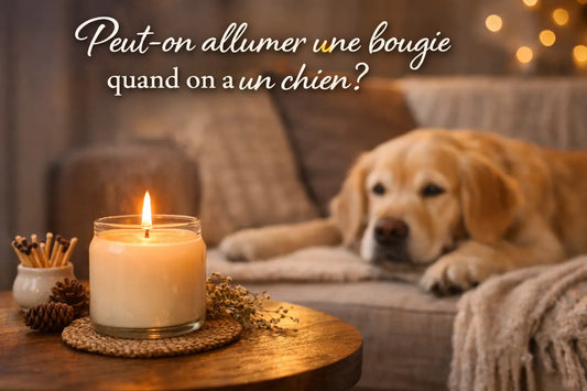 Peut-on allumer des bougies quand on a des chiens ou des animaux ?