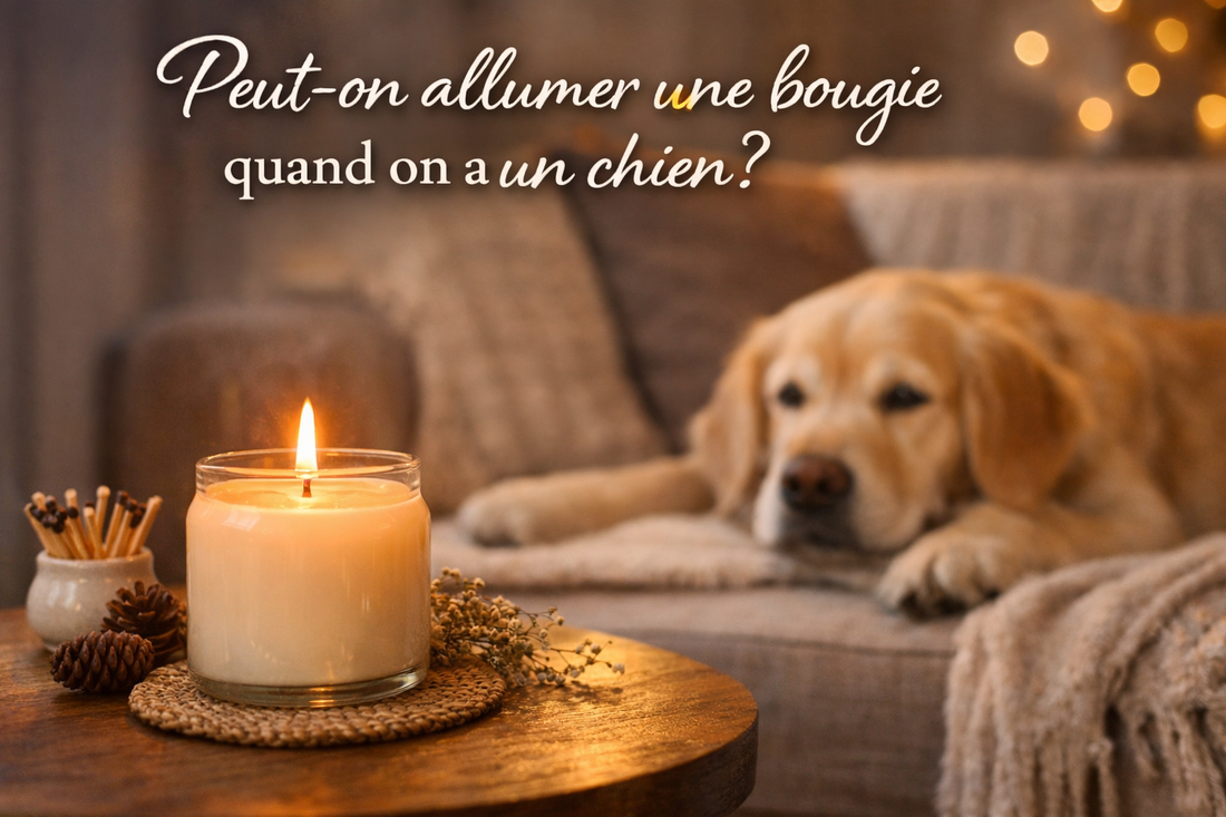 Peut-on allumer des bougies quand on a des chiens ou des animaux ?