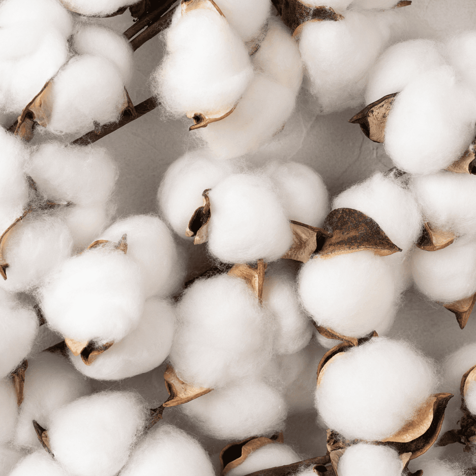 Poudre parfumée pour aspirateur