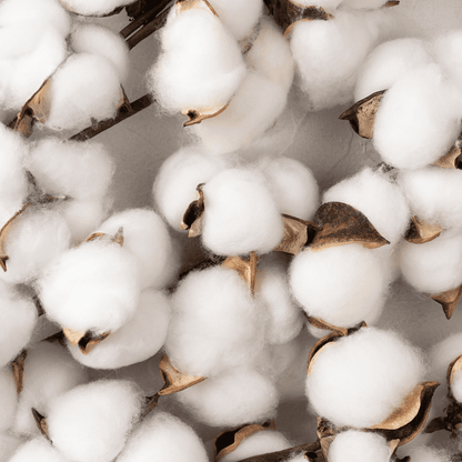 Poudre parfumée pour aspirateur