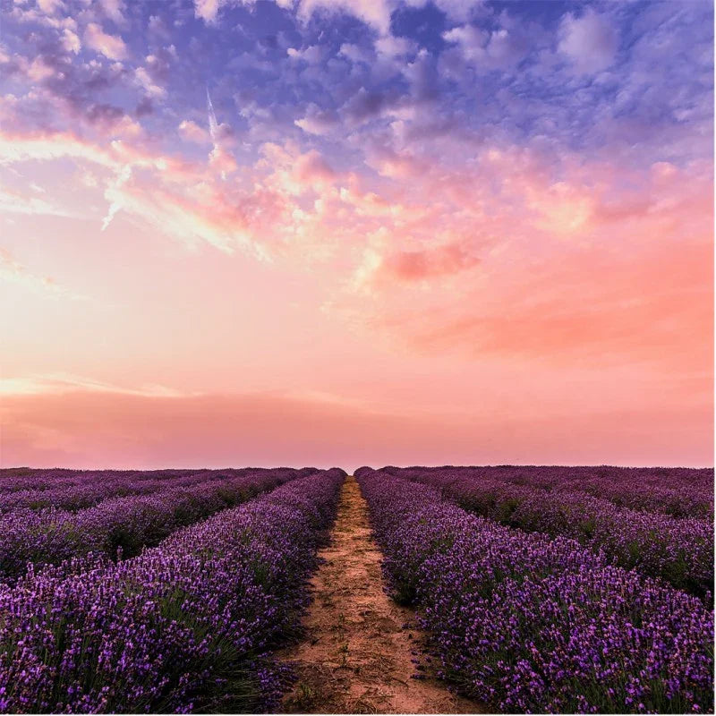 Poudre parfumée aspirateur – Désodorise et parfume durablement - Amoureusement bougie