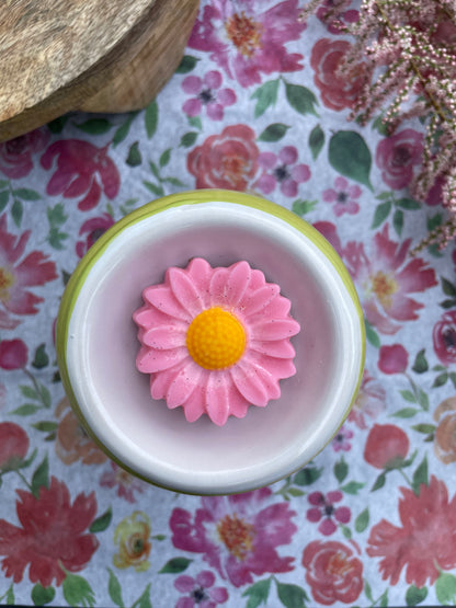 Fondants parfumés 5 Fleurs "Cookies chocolat, Madeleine, Noix de coco, Vanille, Fraise des bois"