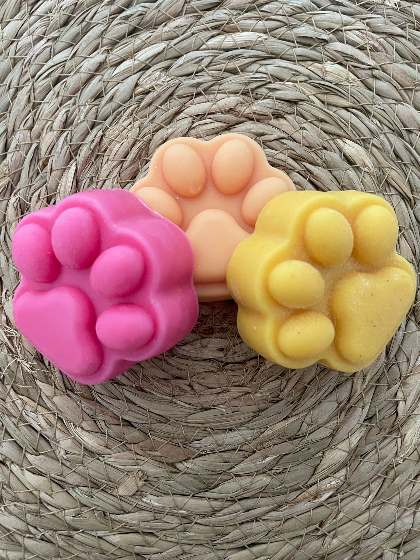 Fondants grands modèles  " Les fruités" Lot de 3  Parfums " Agrumes, Pêche, Fruits confits "