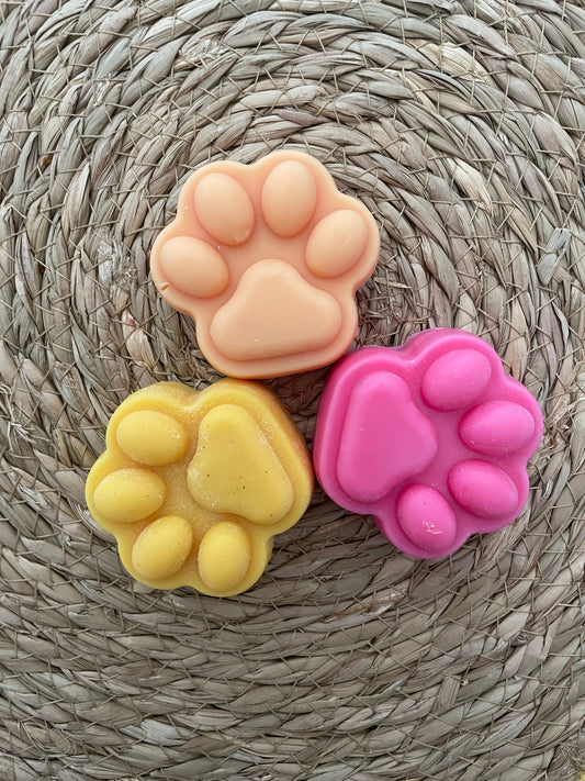 Fondants grands modèles  " Les fruités" Lot de 3  Parfums " Agrumes, Pêche, Fruits confits "