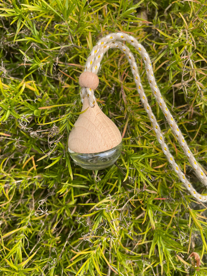Diffuseurs parfumés de voiture